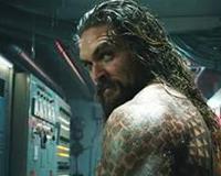 鸡笼警告是什么意思和梗