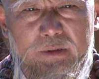 天龙八部带头大哥是谁