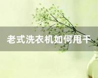 老式洗衣机如何甩干 (老式洗衣机甩干桶不转图解)