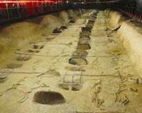 三星堆遗址在哪个地方？