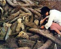 三星堆遗址在哪个地方？