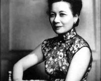 南京为什么种梧桐树？