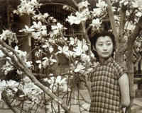 完颜立童记王敏彤资料介绍(被称为最美清朝格格)