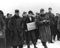 18岁卓娅资料介绍(苏联人不会忘记的英雄)