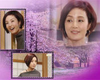 韩国著名情妇张美姬个人简介资料(今62岁无人娶)