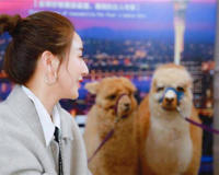 薇娅直播一天的收入能赚多少钱？网红是真赚钱啊