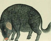 封豕长蛇是什么意思(很多人不懂)