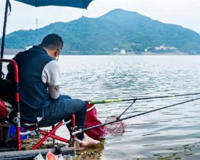 钓鱼会上瘾吗(有因为钓鱼夫妻离婚的)