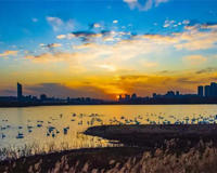 三门峡戏曲种类有哪几种(不要以为只有豫剧)