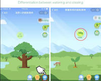 蚂蚁森林包月浇水服务可信吗(只要选对人就没任何影响)