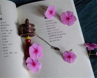 悲凉又无奈的古诗词分享(这一首知道的人不多)