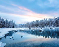 冷在三九，今年三九是哪些(今年冬天什么时候最冷)