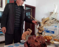 角雕不仅仅是一种动物还是一门手艺，角雕手艺接近失传