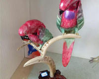 角雕不仅仅是一种动物还是一门手艺，角雕手艺接近失传