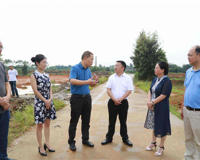 毛洪涛事件最新进展(成都大学校长会受到什么处理)