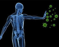 免疫力低吃什么可以提高免疫力？都是生活中常见的东西