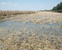 山东会发生水灾吗？除了济南银座718事件