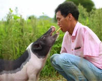 残疾证有什么用处(很多残疾人没拿过残疾补贴)