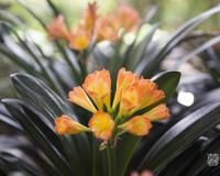 闺蜜为什么容易变成第三者 其实都是太相似惹的祸