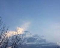 恐龙时代有人类吗 还有哪些生物存在