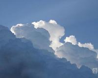 恐龙时代人类在干嘛 揭秘人类的起源