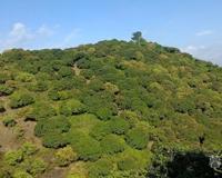 有办法重生到自己以前的时候吗 如何才能做到