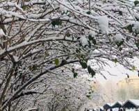 ​关于秋冬唯美短句 来自冬日里的温暖