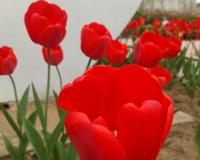 享受悠闲的生活的句子 这才是美好的人生