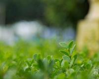 很潮很酷的短句 一句话让别人无话可说