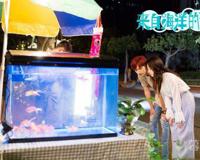 来自海洋的你戴汐喜欢谁 对冲浪高手池陆一见钟情