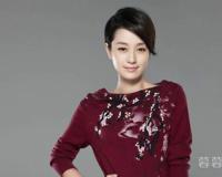 马伊琍有过几段感情 与文章的结合是正确的选择吗