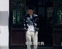 如果爱晴天与万嘉乐离婚了吗 忍气吞声的生活过够了