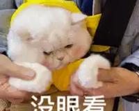 夹小玩具出门，往下边塞东西逛街是什么感觉？