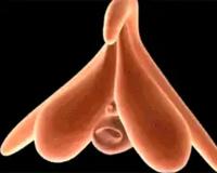 女生已经开始抖了还能继续吗