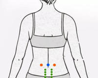 做肾部保养的好处都有哪些