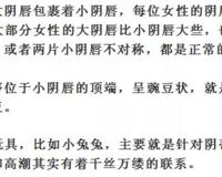 小豆豆在哪儿里带图,求科普