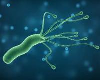 中医不建议杀幽门螺旋杆菌是为什么？