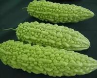 J8镶钻？不，那叫入珠