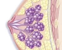 女朋友的胸不能乱摸？进来教你正确手法