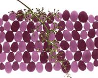 女朋友的胸不能乱摸？进来教你正确手法