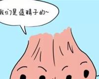 男人的蛋蛋你真的了解吗？男人睾丸的真实作用