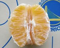 指交36式，让她扶墙哭着喊爸爸