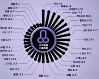 欧美男人丁丁都比较大吗