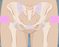 女生那方面能力强不强，看她屁股就知道