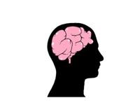 一周做爱几次最幸福