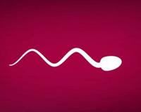 为什么一直没有男性避孕药