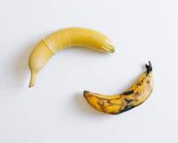 丁丁弯了是不是有病