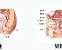 啪啪后男友这个骚操作，让我不幸中招……