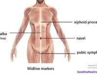 为啥女生的小腹上，都有一条褐色的缝