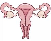 怀孕后私处的这些变化正常吗